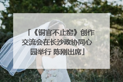 《铜官不止窑》创作交流会在长沙政协同心园举行 陈刚出席