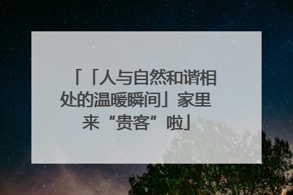 「人与自然和谐相处的温暖瞬间」家里来“贵客”啦