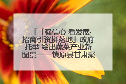 「强信心 看发展·招商引资拼落地」政府托举 绘出蔬菜产业新图景——镇原县甘肃聚广利现代设施蔬菜种植基地见闻