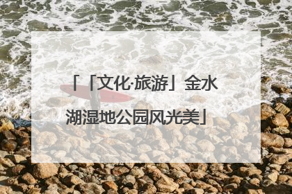 「文化·旅游」金水湖湿地公园风光美