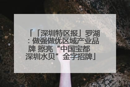 「深圳特区报」罗湖：做强做优区域产业品牌 擦亮“中国宝都 深圳水贝”金字招牌