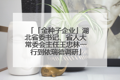 「金种子企业」湖北省委书记、省人大常委会主任王忠林一行到依瑞德调研