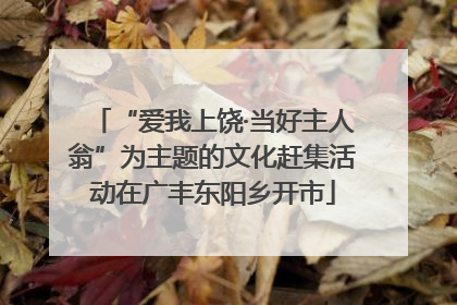 “爱我上饶·当好主人翁”为主题的文化赶集活动在广丰东阳乡开市