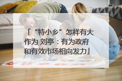 “特小乡”怎样有大作为 刘亭：有为政府和有效市场相向发力