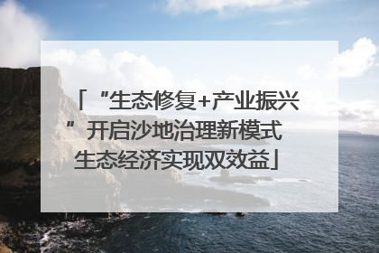 “生态修复+产业振兴”开启沙地治理新模式 生态经济实现双效益