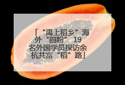 “禹上稻乡”海外“圈粉” 19名外国学员探访余杭共富“稻”路