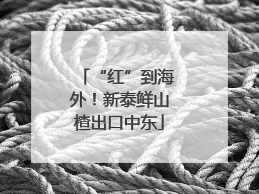 “红”到海外！新泰鲜山楂出口中东