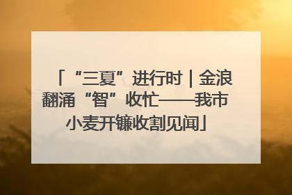 “三夏”进行时｜金浪翻涌“智”收忙——我市小麦开镰收割见闻