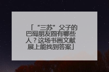“三苏”父子的巴蜀朋友圈有哪些人？这场书画文献展上能找到答案