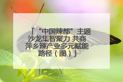 “中国辣都”主题沙龙集智聚力 共商萍乡辣产业多元赋能路径（图）