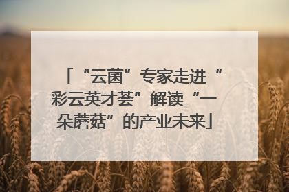 “云菌”专家走进“彩云英才荟”解读“一朵蘑菇”的产业未来