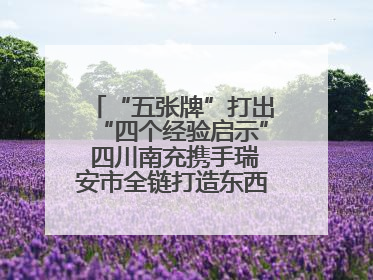“五张牌”打出“四个经验启示” 四川南充携手瑞安市全链打造东西部“消费协作”