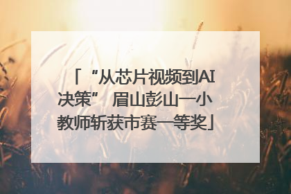 “从芯片视频到AI决策” 眉山彭山一小教师斩获市赛一等奖
