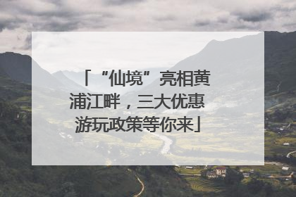 “仙境”亮相黄浦江畔，三大优惠游玩政策等你来