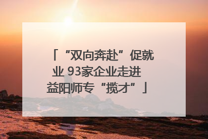 “双向奔赴”促就业 93家企业走进益阳师专“揽才”