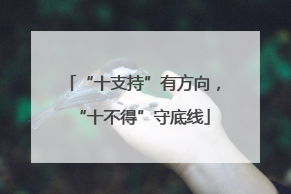 “十支持”有方向，“十不得”守底线