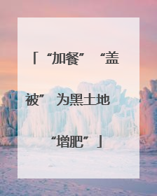 “加餐”“盖被” 为黑土地“增肥”