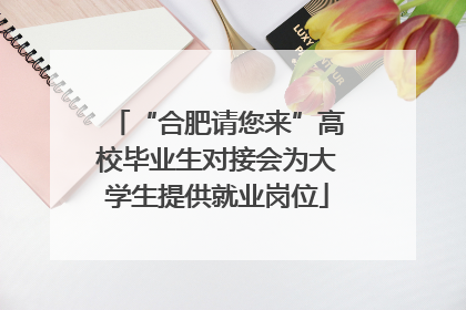 “合肥请您来”高校毕业生对接会为大学生提供就业岗位