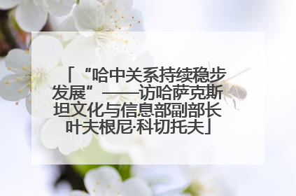 “哈中关系持续稳步发展”——访哈萨克斯坦文化与信息部副部长叶夫根尼·科切托夫