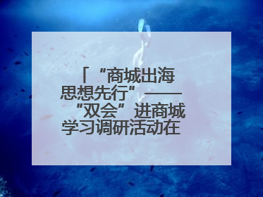 “商城出海 思想先行”——“双会”进商城学习调研活动在临沂顺利开展
