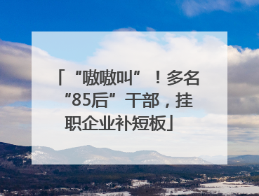 “嗷嗷叫”！多名“85后”干部，挂职企业补短板
