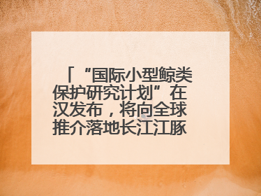 “国际小型鲸类保护研究计划”在汉发布，将向全球推介落地长江江豚保护经验