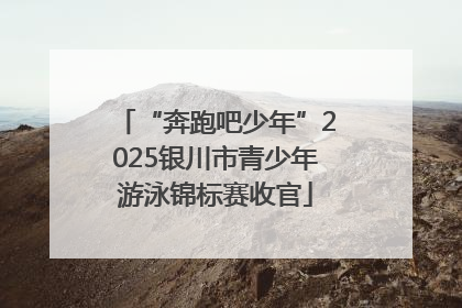 “奔跑吧少年”2025银川市青少年游泳锦标赛收官