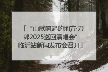 “山歌响起的地方·刀郎2025巡回演唱会”临沂站新闻发布会召开