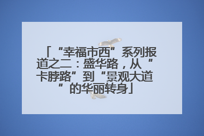 “幸福市西”系列报道之二：盛华路，从“卡脖路”到“景观大道”的华丽转身