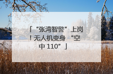 “张湾智警”上岗！无人机变身 “空中 110”