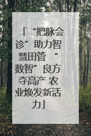“把脉会诊”助力智慧田管 “数智”良方夺高产 农业焕发新活力
