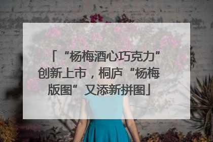 “杨梅酒心巧克力”创新上市，桐庐“杨梅版图”又添新拼图