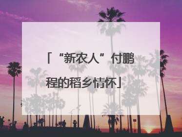 “新农人”付鹏程的稻乡情怀