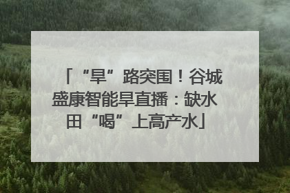 “旱”路突围！谷城盛康智能旱直播：缺水田“喝”上高产水
