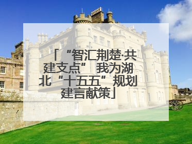 “智汇荆楚·共建支点” 我为湖北“十五五”规划建言献策