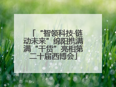 “智领科技·链动未来”绵阳携满满“干货”亮相第二十届西博会