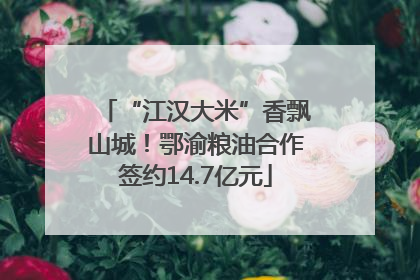 “江汉大米”香飘山城！鄂渝粮油合作签约14.7亿元