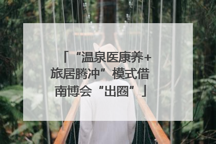 “温泉医康养+旅居腾冲”模式借南博会“出圈”