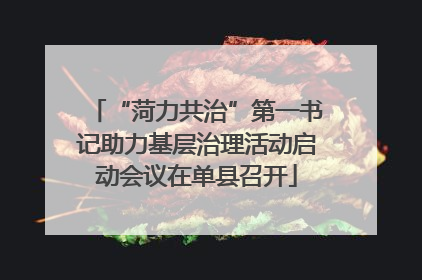 “菏力共治”第一书记助力基层治理活动启动会议在单县召开