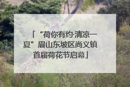 “荷你有约·清凉一夏”眉山东坡区尚义镇首届荷花节启幕