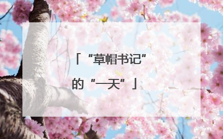 “草帽书记”的“一天”