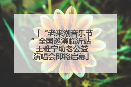 “老来潮音乐节”全国巡演临沂站 王雅宁助老公益演唱会即将启幕