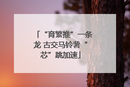 “育繁推”一条龙 古交马铃薯“芯”跳加速