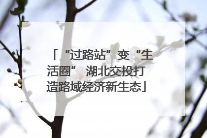 “过路站”变“生活圈” 湖北交投打造路域经济新生态
