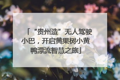“贵州造”无人驾驶小巴，开启黄果树小黄鸭漂流智慧之旅
