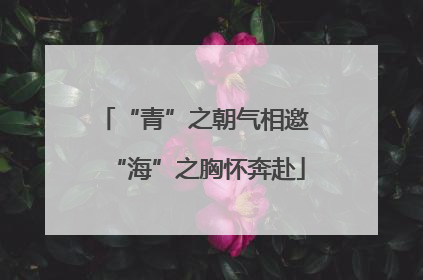 “青”之朝气相邀 “海”之胸怀奔赴