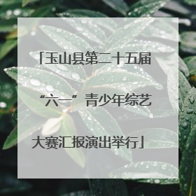 玉山县第二十五届“六一”青少年综艺大赛汇报演出举行