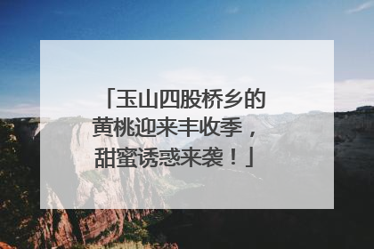 玉山四股桥乡的黄桃迎来丰收季，甜蜜诱惑来袭！