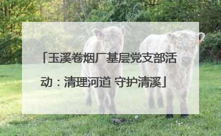 玉溪卷烟厂基层党支部活动：清理河道 守护清溪