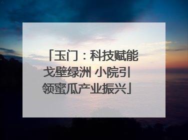 玉门：科技赋能戈壁绿洲 小院引领蜜瓜产业振兴